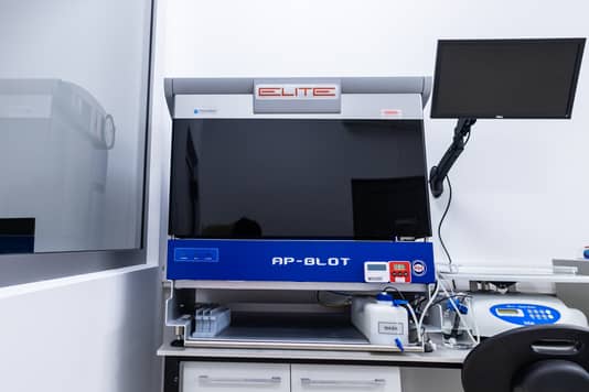 Zdjęcie: AP-Blot