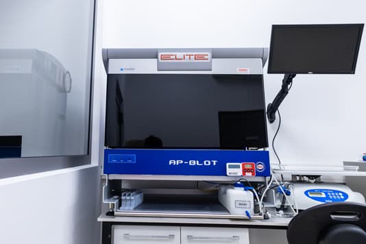 Zdjęcie: AP-Blot